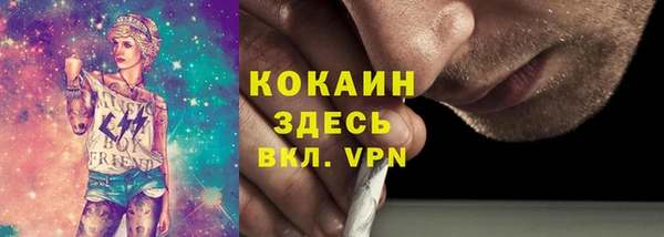тгк Богородицк