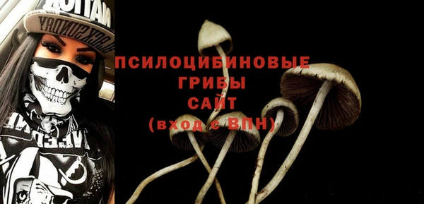 apvp Бугульма