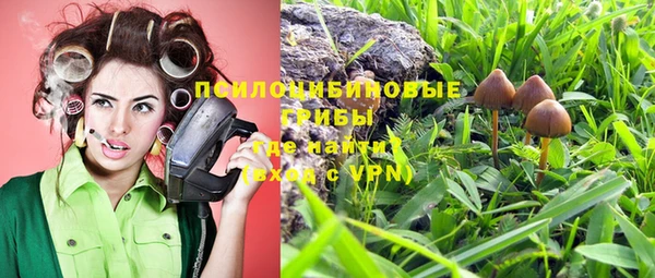 героин Бородино