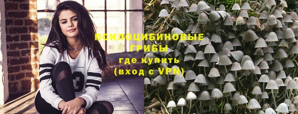 apvp Бугульма