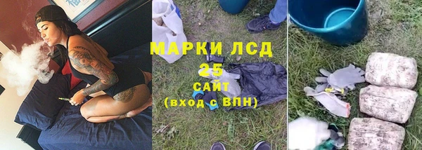 мяу мяу мука Покачи