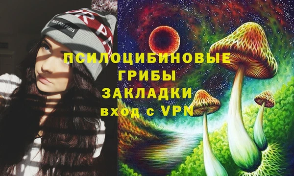 apvp Бугульма