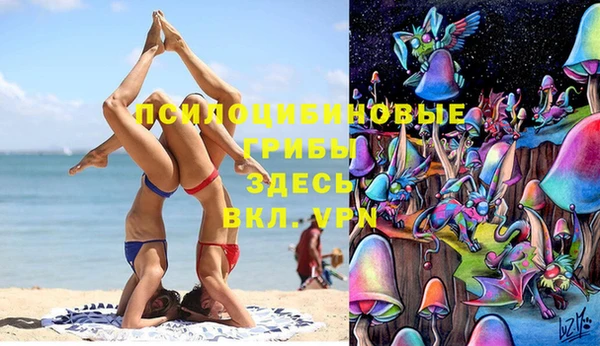героин Богданович